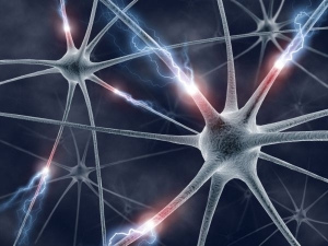 Connected neurons 