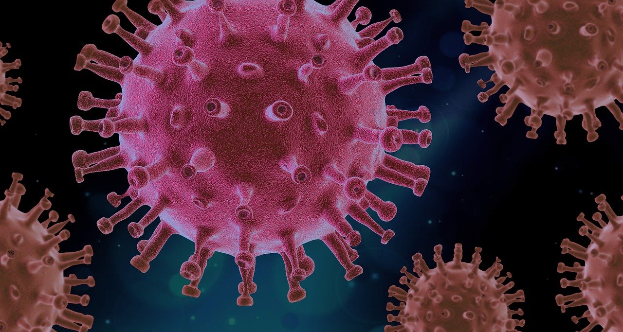 Microscopic image of the COVID-19 virus Image by PIRO4D from Pixabay 