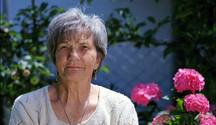 Elderly woman sitting in front of rose bush