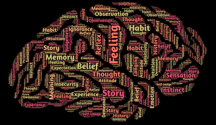 Mental Illnesses are Common but Care is Lacking Health Care Policy