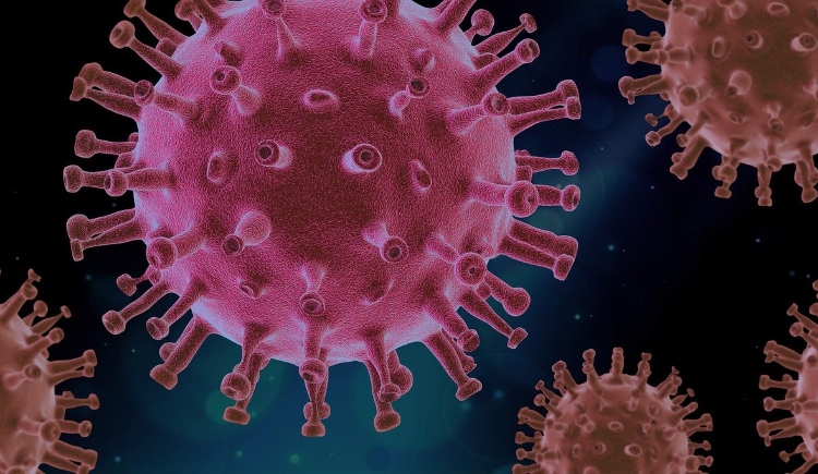 Microscopic image of the COVID-19 virus Image by PIRO4D from Pixabay 